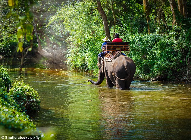 3F00871B00000578-4386222-image-a-53_1491477001584